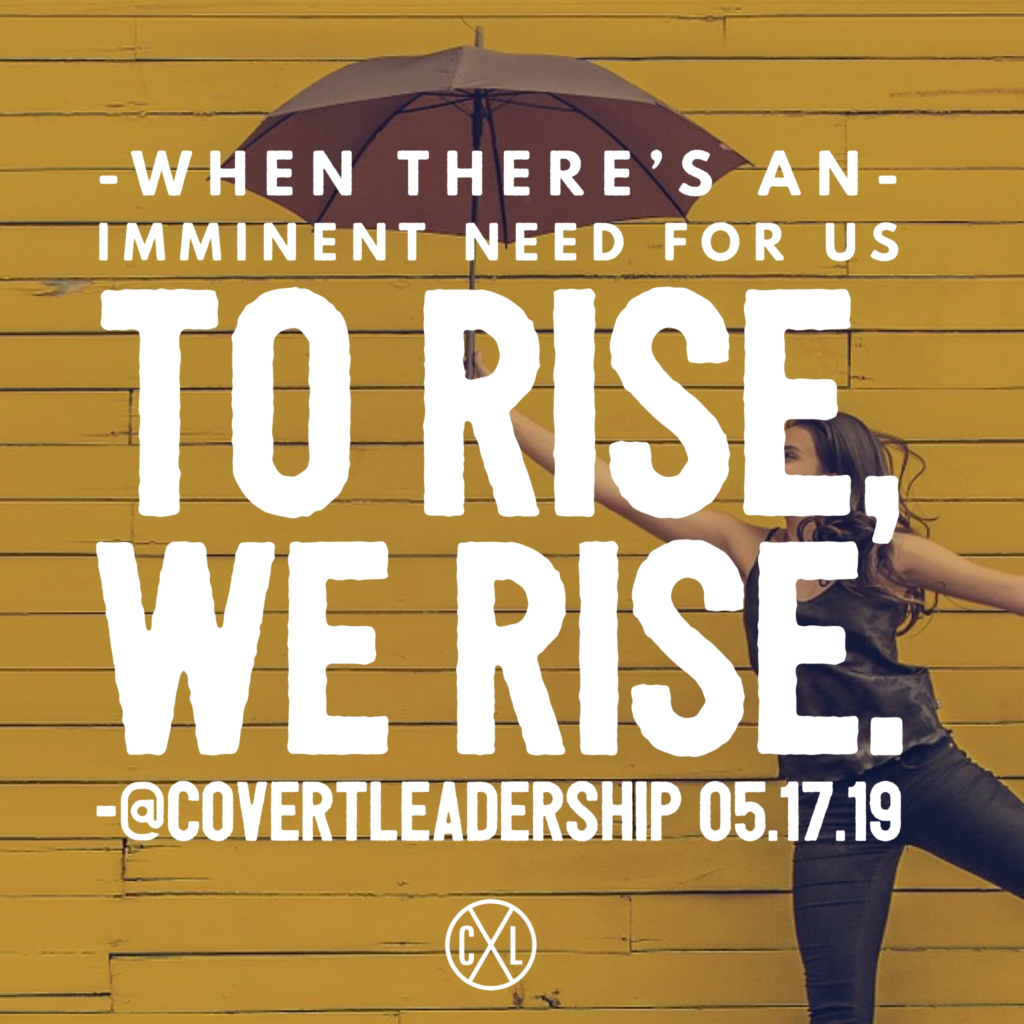 Remember To Rise Leader Log Date May 17, 2019 #beinghuman #beingsuperhuman #humanup # ...